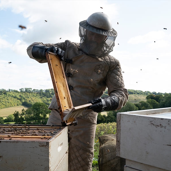 Beekeeper: Sentencia de muerte