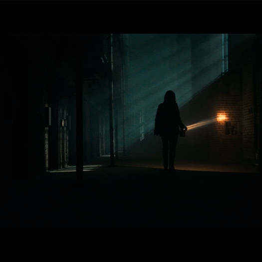 Terror en Shelby Oaks