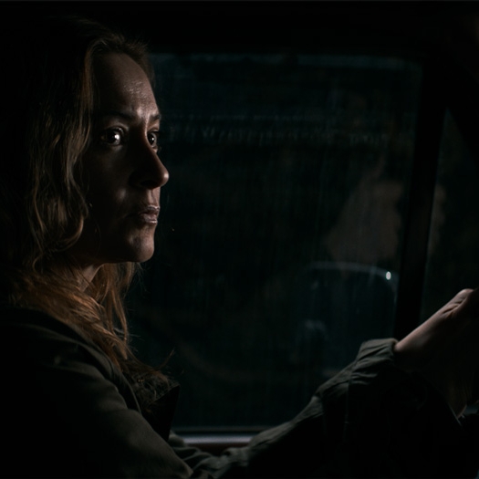 Terror en Shelby Oaks