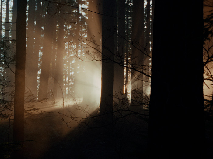 Keeper: um aniversário que se transforma em pesadelo